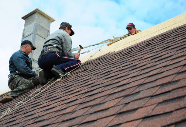 Best Metal Roofing Contractor  in Belle Fourche, SD