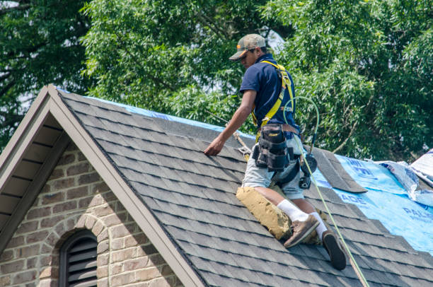 Best Roof Replacement Cost  in Belle Fourche, SD